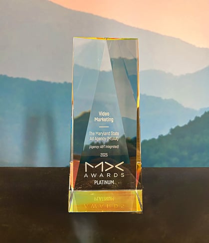 Photo of AMA MX Award platinum trophy